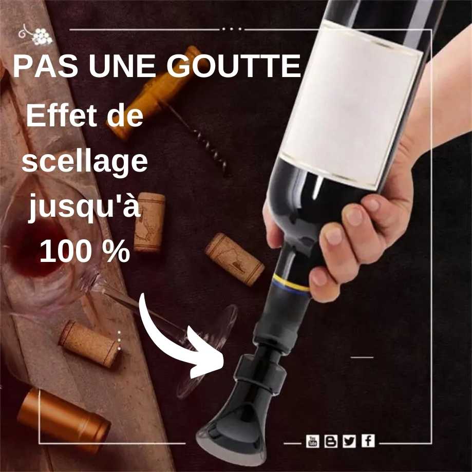 Bec Verseur Vin + Bouchon Vin | 2 en 1